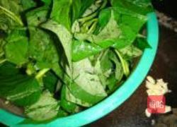 蒜香红薯叶的做法图解2