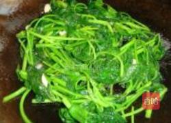 蒜香红薯叶的做法图解5