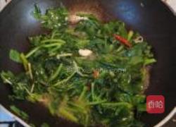 清炒木耳菜的做法图解5