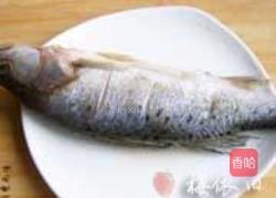 红烧鲈鱼的做法图解1