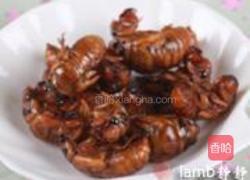 爆炒金蝉的做法图解8