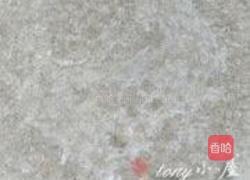 翡翠煎饼的做法图解2