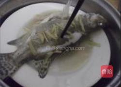 清蒸桂花鱼的做法图解5