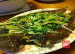 清蒸龙利鱼的做法图解7