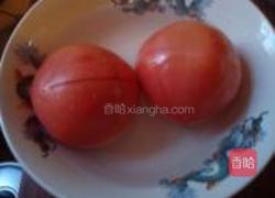 牛肉炖西红柿的做法图解5