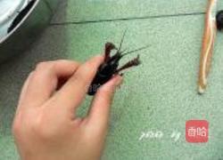 红烧小龙虾的做法图解2
