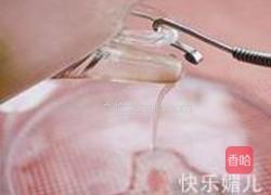 野菊花决明子茶的做法图解4