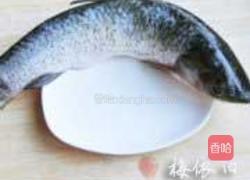 茄汁蒸鲈鱼的做法图解1