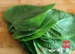 苏叶混搭沙拉的做法图解1