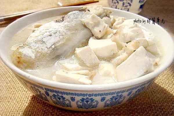 鱼鳔鱼头豆腐汤