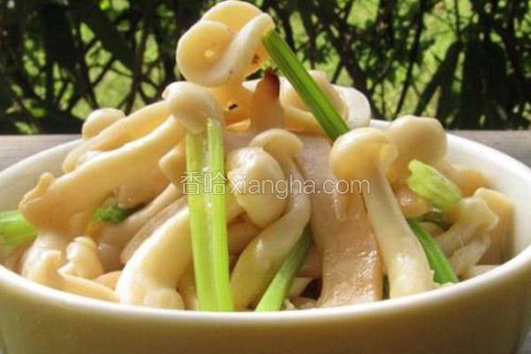 鲜菇芹菜鱿鱼丝