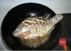 红烧罗非鱼的做法图解3