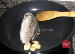 豆腐鱼汤的做法图解5