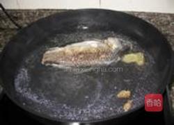 豆腐鱼汤的做法图解6