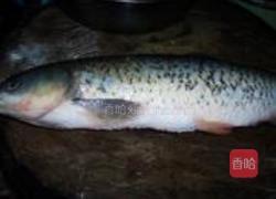 浇汁菊花鱼的做法图解1