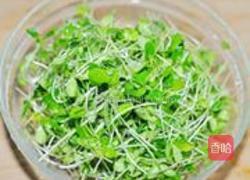 香椿苗拌桃仁的做法图解1