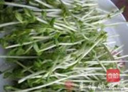 凉拌豆苗的做法图解5