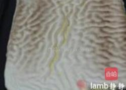 虎皮蛋糕的做法图解20