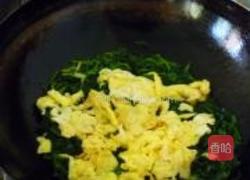 苋菜炒鸡蛋的做法图解10