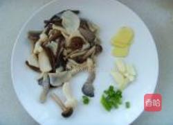 菌菇煲的做法图解3