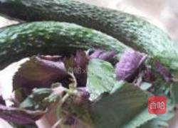 紫苏黄瓜片的做法图解1