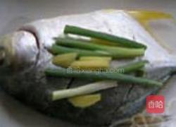 清蒸金鲳鱼的做法图解3