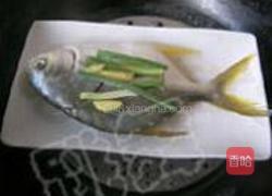 清蒸金鲳鱼的做法图解4