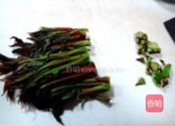 香椿芽摊鸡蛋的做法图解3
