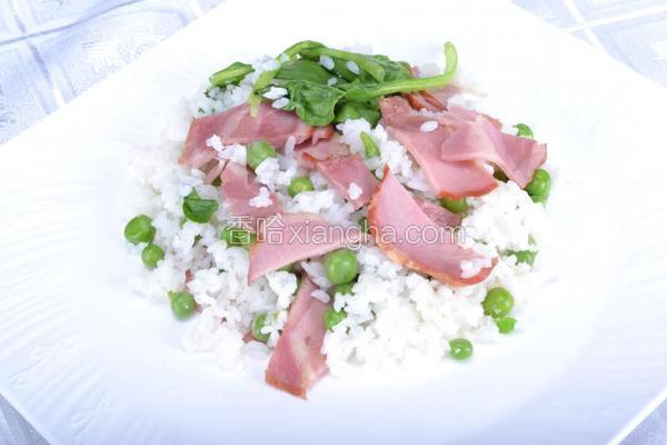 煲仔饭