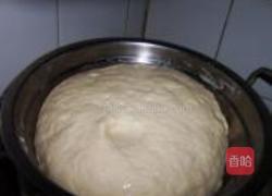 胡萝卜粉丝素包子的做法图解7