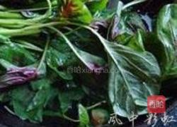 上汤苋菜的做法图解2