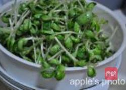 蒜蓉豆苗的做法图解2