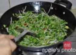 蒜蓉豆苗的做法图解6