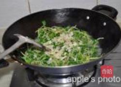 蒜蓉豆苗的做法图解7