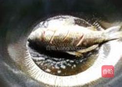 红烧鲫鱼的做法图解3