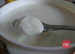 自制酸奶的做法图解6