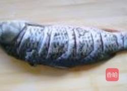 糖醋鲤鱼的做法图解3