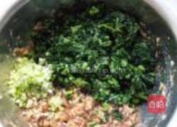 小白菜猪肉水饺的做法图解3