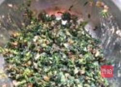 小白菜猪肉水饺的做法图解4