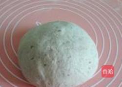 葡萄干莜面馒头的做法图解5