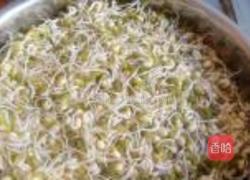泡发绿豆芽的做法图解10