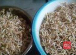 泡发绿豆芽的做法图解13