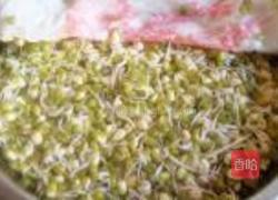 泡发绿豆芽的做法图解9