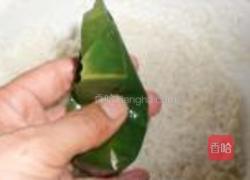 蜜枣粽的做法图解9