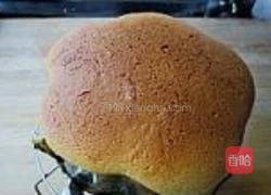酸奶蛋糕的做法图解16