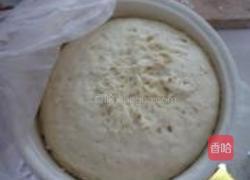 洋葱牛肉馅饼的做法图解5