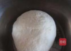 韭菜盒子的做法图解2