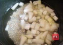 冬瓜薏米粥的做法图解7