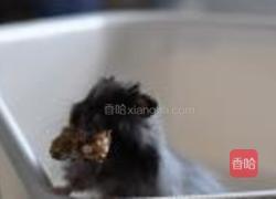 燕麦小方酥的做法图解12