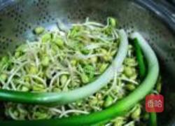自发黄豆芽的做法图解17